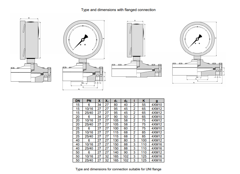 Đồng hồ đo áp suất loại Schaeffer SC100 | Pci-Instrument